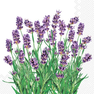 Silken Серветки паперові "ЛАВАНДА" 33*33 3шар 18шт у пачці