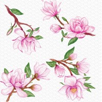 Silken Серветки паперові "ВЕСНЯНА ГАЛЯВИНА МІКС" 33*33 2шар 16 шт у пачці